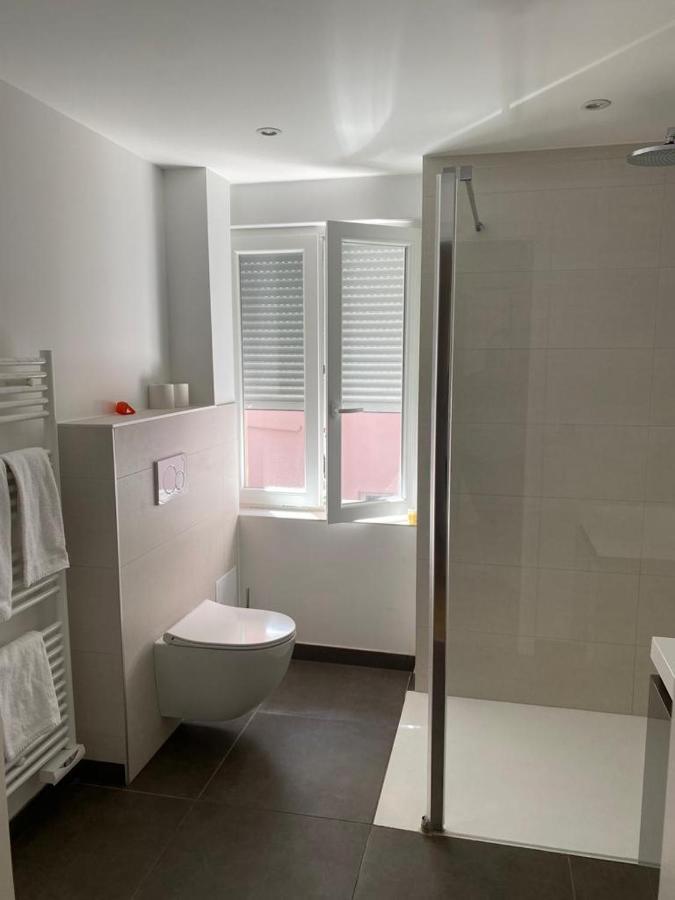 Les Appartements De La Gare Кольмар Экстерьер фото